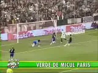 Verde de Micul Paris