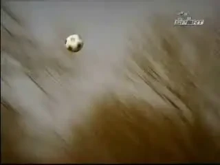 RAZVAN LUCESCU - ANTRENOR LA BERE