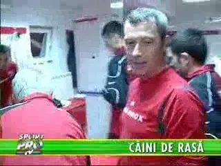 3 ZILE SI 3 NOPTI DE PETRECERE LA DINAMO