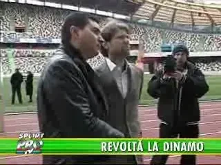 Raducioiu - piesa de decor la Dinamo?