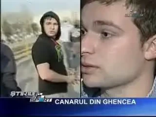 Tweety - ajuns celebru in Anglia