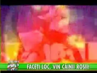 Dinamo vrea 5 puncte in Champions League