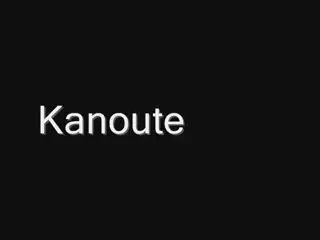 Kanoute - un varf pentru un record