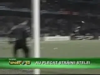 Strainii Stelei sunt vanduti En-Gros