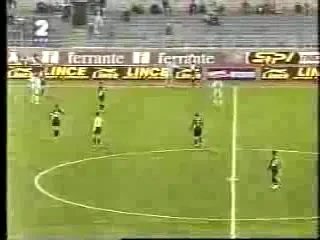 Rapidul a confirmat venirea lui Bozovici si Boya