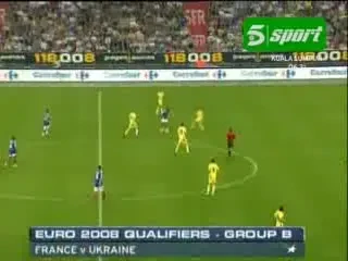 Ribery si Anelka - eroii Frantei!