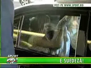 Helen Svedin - eclipsa lui Figo