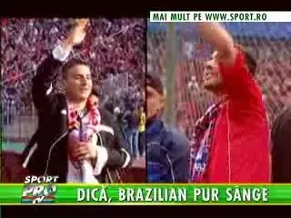 DICA, BRAZILIANUL PUR SANGE