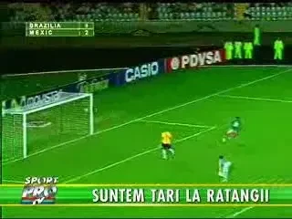 Romanii - campioni la ratari