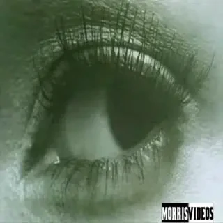 Rapperul P Diddy vrea in Formula 1!