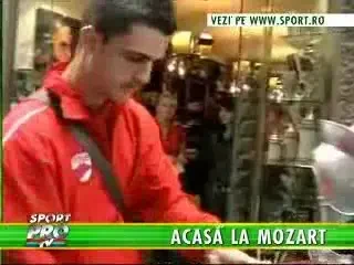 Cainii au devorat magazinele din Austria