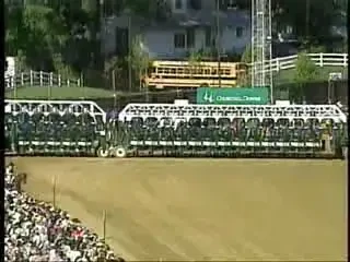 Armasar de 18 milioane $ - Gay