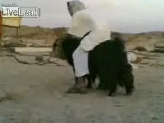 Cea mai tare motocicleta produsa in Irak: Capra RX