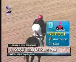 SENZATIE LA O CURSA DE CAI DIN TURCIA