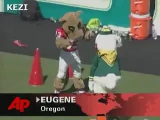 Ia si da-i! Ce te faci cand si mascotele inscriu?!