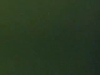 Wanger: Fabregas imi aminteste de Platini