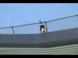 Ultima nebunie a miliardarilor extrenci- bugee-jumping