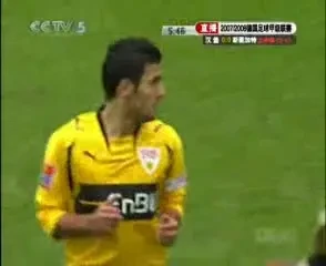 Stuttgartul lui Marica are probleme: Hamburger SV 4 - 1 Stuttgart !