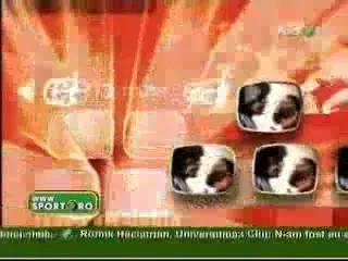 LACATUS, NOUL ANTRENOR AL STELEI!