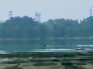 O cursa cu final neasteptat: Lamborghini mai tare decat un avion?