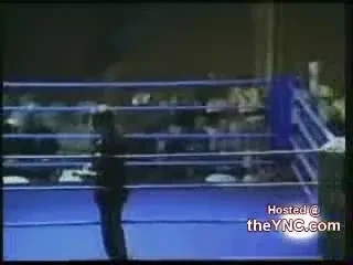 Culmea boxului: sa fii facut KO de ring!