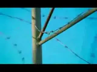 Cum poate fi faultata o blonda?