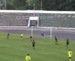 Unirea lui Dan Petrescu se intareste cu doi frati lituanieni