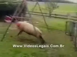 Zidane in pericol! S-a gasit ceva mai tare in cap decat Zizou. Vezi superclip: