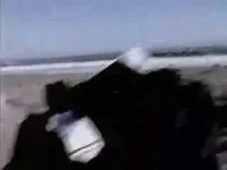 Vezi cum poti ateriza cu un avion direct pe mare pentru o...baie!