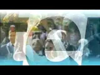 Vezi aici cine este cea mai bine platita sportiva din istorie!