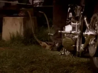 Cea mai mare caterinca! Vrei sa pui sotul pe fuga? Ia-ti un Harley!