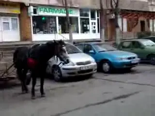 Ultima moda in Bucuresti! Parcheaza-ti caruta in rand cu masinile!