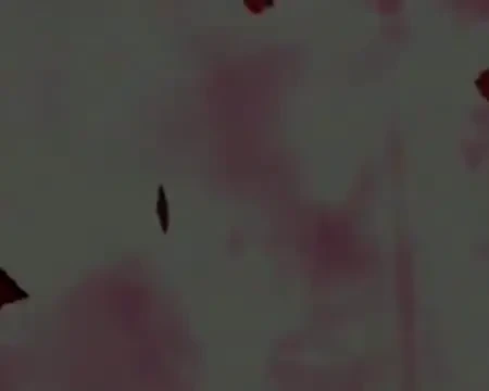 Manuela Arcuri vrea sa devina noua Monica Bellucci! Crezi ca are sanse?