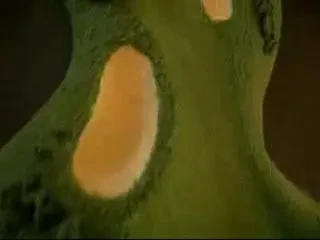 Un papagal care si-a depasit conditia! Joaca baschet, golf, popice si biliard!