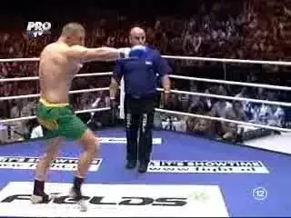 Kemayo i-a venit de hakA lui Morosanu!