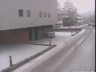 Ai parcat vreodata asa? Vezi cea mai mare teapa... la volan!