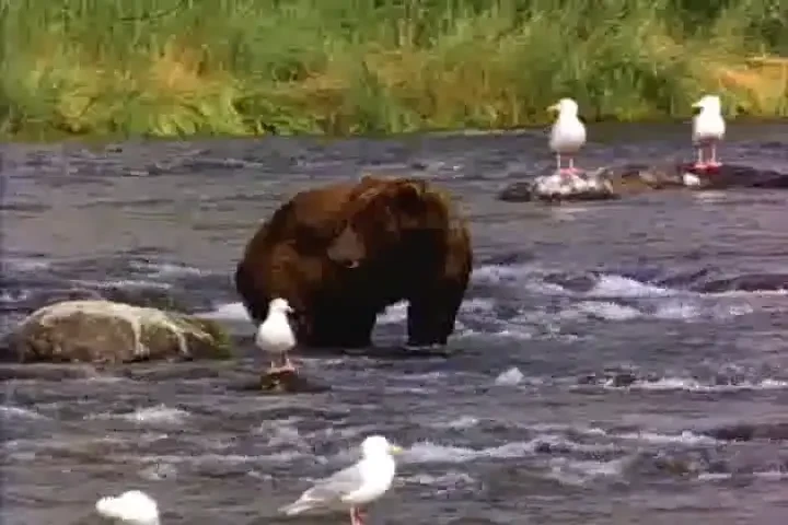 Phasellus rutrum, orci sit amet feugiat.