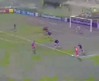 Vezi cum a reusit Dica sa il invinga pe portarul francezilor, Gregory Coupet