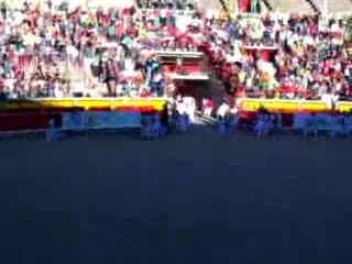 Pamplona reloaded! Curse de cai...putere!