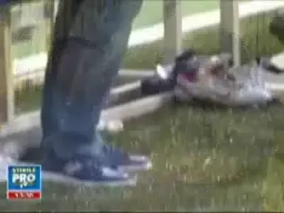 Cine mai pleaca de la Steaua?