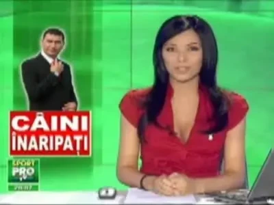 Dinamo Air! Borcea ia avion pentru caini !