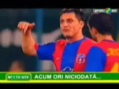 Ce a zis Radoi, ce au inteles italienii!