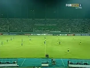 Fara intrusi pe teren: Australienii au luat la tinta o pasare in timpul meciului!