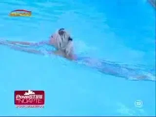 Vezi povestea incredibila dintre Silvia Pop si Adrian Cristea!