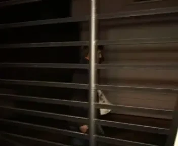 Vezi primele imagini cu Uhrin dupa ce a fost demis de la Timisoara!