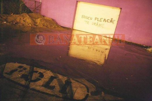 VIDEO / Vezi ce mesaje i-au transmis fanii lui Poli lui Iancu!_9