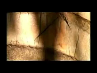 Mutu, baiatul mamei: Craciun la peste 30 de grade!