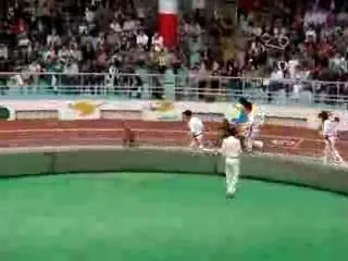 To the aaaaairport! Maimutele au invatat sa mearga pe bicicleta!