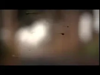 Super circuit de 150 mil euro in F1 pe strazile din Roma in 2011! Vezi super imagini