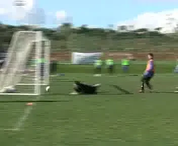 VEZI imagini de la ultimul antrenament al celor de la Timisoara!